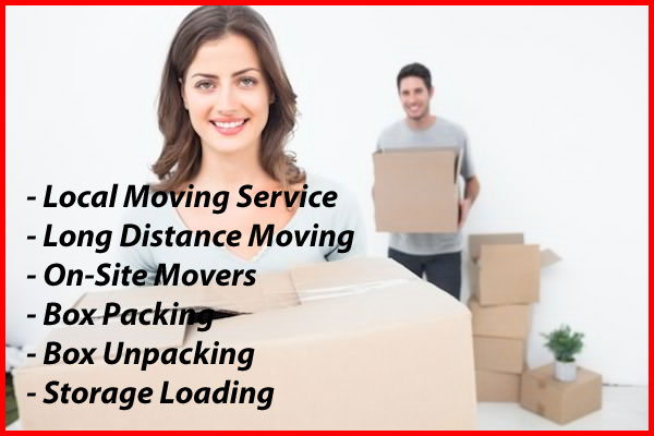 Packers And Movers Noida Sector 75